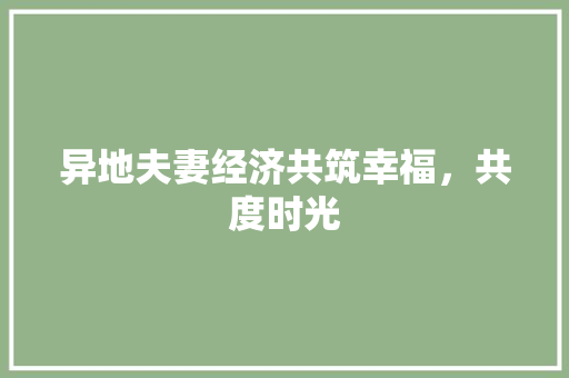 异地夫妻经济共筑幸福,共度时光 异地夫妻经济共筑幸福,共度时光
