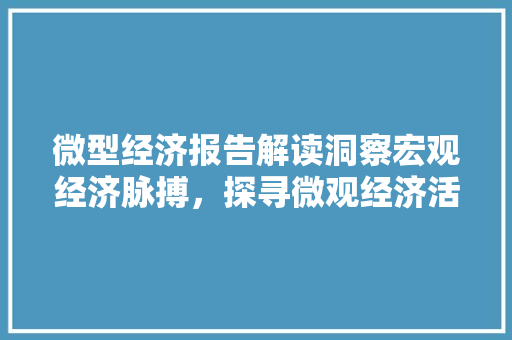 微型经济报告解读洞察宏观经济脉搏,探寻微观经济活力 微型经济报告解读洞察宏观经济脉搏,探寻微观经济活力
