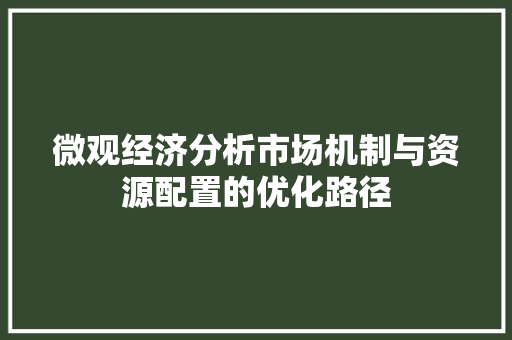 微观经济分析市场机制与资源配置的优化路径 微观经济分析市场机制与资源配置的优化路径