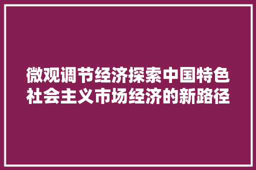 微观调节经济探索中国特色社会主义市场经济的新路径 微观调节经济探索中国特色社会主义市场经济的新路径