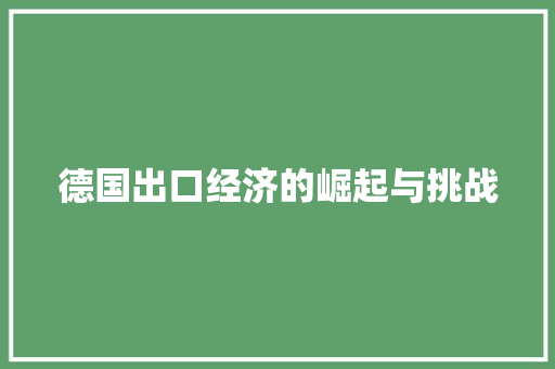 德国出口经济的崛起与挑战 德国出口经济的崛起与挑战
