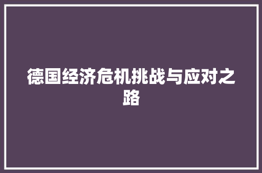 德国经济危机挑战与应对之路 德国经济危机挑战与应对之路