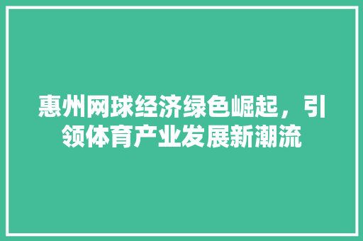 惠州网球经济绿色崛起,引领体育产业发展新潮流 惠州网球经济绿色崛起,引领体育产业发展新潮流