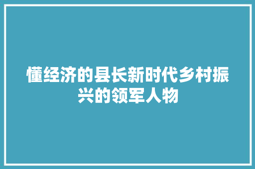 懂经济的县长新时代乡村振兴的领军人物