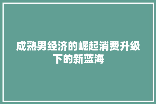 成熟男经济的崛起消费升级下的新蓝海