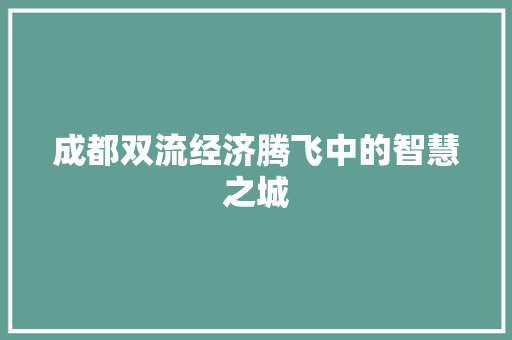 成都双流经济腾飞中的智慧之城 成都双流经济腾飞中的智慧之城
