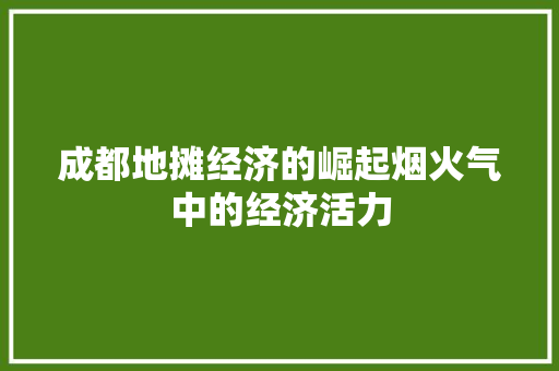 成都地摊经济的崛起烟火气中的经济活力 成都地摊经济的崛起烟火气中的经济活力
