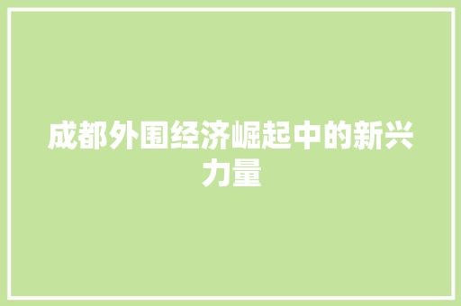 成都外围经济崛起中的新兴力量 成都外围经济崛起中的新兴力量