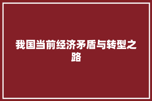 我国当前经济矛盾与转型之路