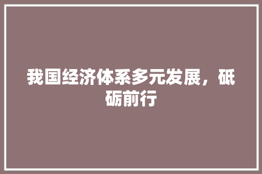 我国经济体系多元发展,砥砺前行 我国经济体系多元发展,砥砺前行