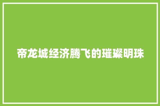 帝龙城经济腾飞的璀璨明珠 帝龙城经济腾飞的璀璨明珠
