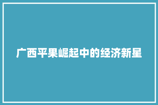 广西平果崛起中的经济新星 广西平果崛起中的经济新星
