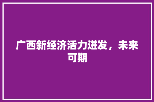 广西新经济活力迸发,未来可期 广西新经济活力迸发,未来可期