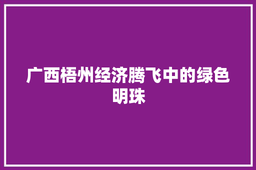 广西梧州经济腾飞中的绿色明珠 广西梧州经济腾飞中的绿色明珠