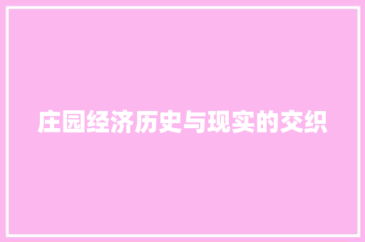 庄园经济历史与现实的交织