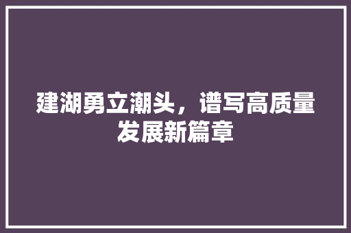 建湖勇立潮头,谱写高质量发展新篇章 建湖勇立潮头,谱写高质量发展新篇章