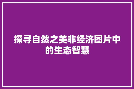探寻自然之美非经济图片中的生态智慧 探寻自然之美非经济图片中的生态智慧