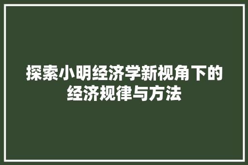 探索小明经济学新视角下的经济规律与方法