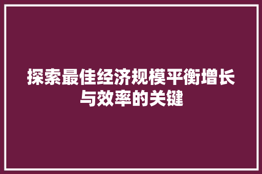 探索最佳经济规模平衡增长与效率的关键