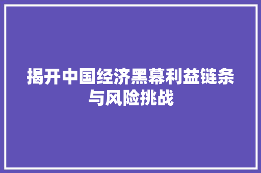 揭开中国经济黑幕利益链条与风险挑战 揭开中国经济黑幕利益链条与风险挑战