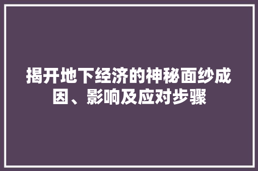 揭开地下经济的神秘面纱成因、影响及应对步骤 揭开地下经济的神秘面纱成因、影响及应对步骤