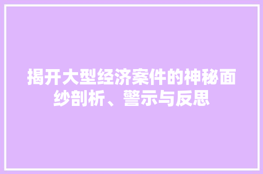 揭开大型经济案件的神秘面纱剖析、警示与反思 揭开大型经济案件的神秘面纱剖析、警示与反思