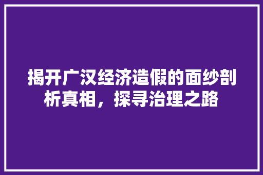 揭开广汉经济造假的面纱剖析真相,探寻治理之路 揭开广汉经济造假的面纱剖析真相,探寻治理之路