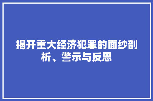 揭开重大经济犯罪的面纱剖析、警示与反思 揭开重大经济犯罪的面纱剖析、警示与反思