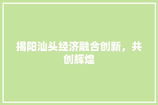 揭阳汕头经济融合创新,共创辉煌 揭阳汕头经济融合创新,共创辉煌