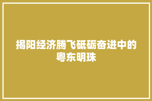 揭阳经济腾飞砥砺奋进中的粤东明珠 揭阳经济腾飞砥砺奋进中的粤东明珠