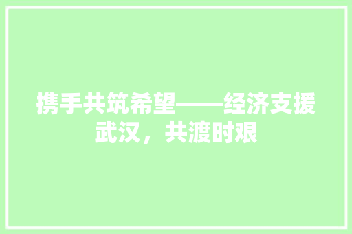 携手共筑希望——经济支援武汉,共渡时艰 携手共筑希望——经济支援武汉,共渡时艰