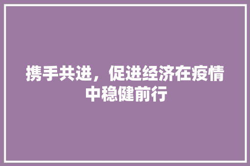 携手共进,促进经济在疫情中稳健前行 携手共进,促进经济在疫情中稳健前行