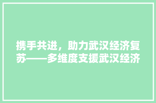 携手共进,助力武汉经济复苏——多维度支援武汉经济发展纪实 携手共进,助力武汉经济复苏——多维度支援武汉经济发展纪实