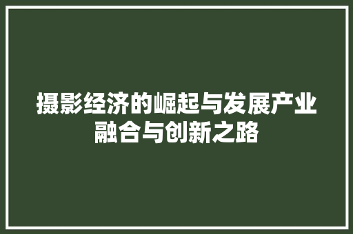 摄影经济的崛起与发展产业融合与创新之路 摄影经济的崛起与发展产业融合与创新之路