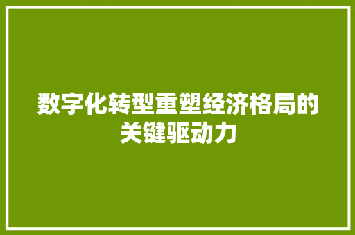 数字化转型重塑经济格局的关键驱动力 数字化转型重塑经济格局的关键驱动力
