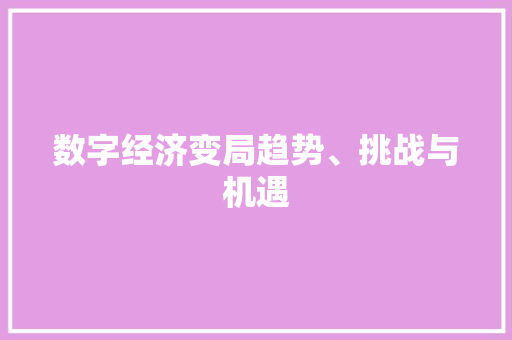 数字经济变局趋势、挑战与机遇 数字经济变局趋势、挑战与机遇