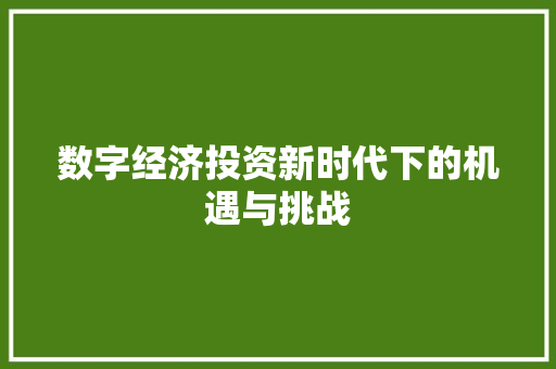 数字经济投资新时代下的机遇与挑战 数字经济投资新时代下的机遇与挑战
