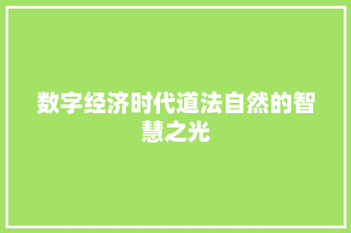 数字经济时代道法自然的智慧之光