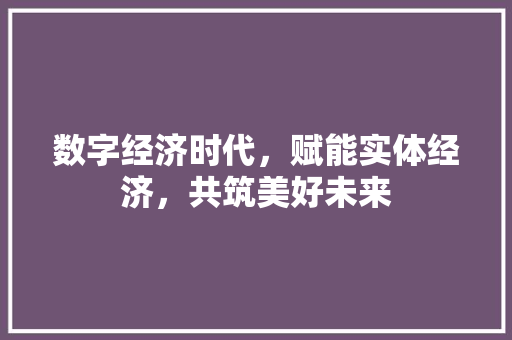 数字经济时代,赋能实体经济,共筑美好未来 数字经济时代,赋能实体经济,共筑美好未来