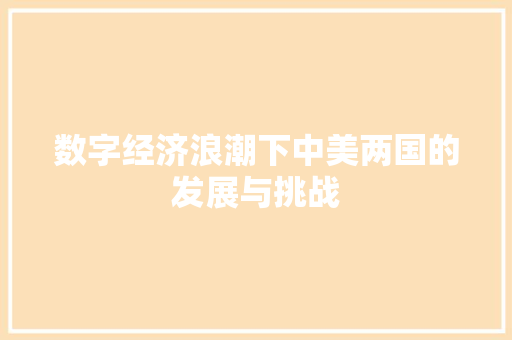 数字经济浪潮下中美两国的发展与挑战 数字经济浪潮下中美两国的发展与挑战