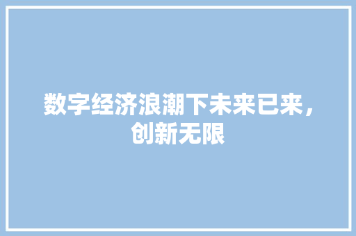 数字经济浪潮下未来已来,创新无限 数字经济浪潮下未来已来,创新无限