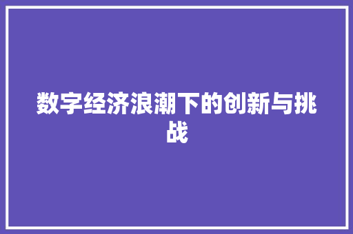 数字经济浪潮下的创新与挑战