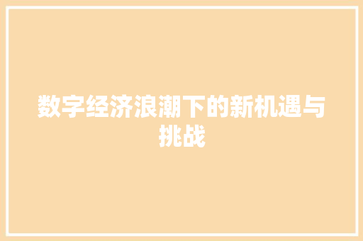 数字经济浪潮下的新机遇与挑战 数字经济浪潮下的新机遇与挑战