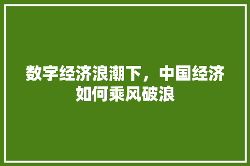 数字经济浪潮下,中国经济如何乘风破浪 数字经济浪潮下,中国经济如何乘风破浪