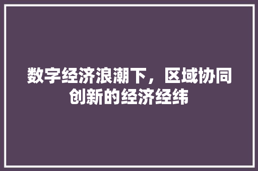 数字经济浪潮下，区域协同创新的经济经纬