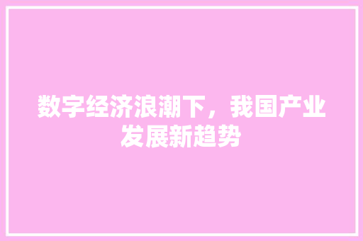 数字经济浪潮下,我国产业发展新趋势 数字经济浪潮下,我国产业发展新趋势