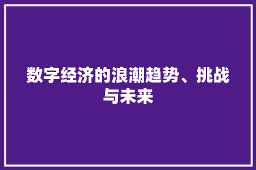 数字经济的浪潮趋势、挑战与未来 数字经济的浪潮趋势、挑战与未来