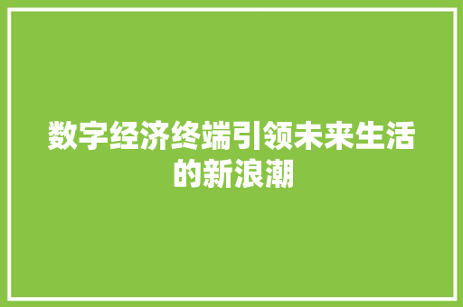 数字经济终端引领未来生活的新浪潮 数字经济终端引领未来生活的新浪潮