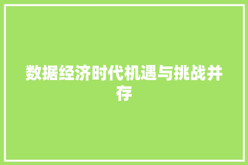 数据经济时代机遇与挑战并存 数据经济时代机遇与挑战并存