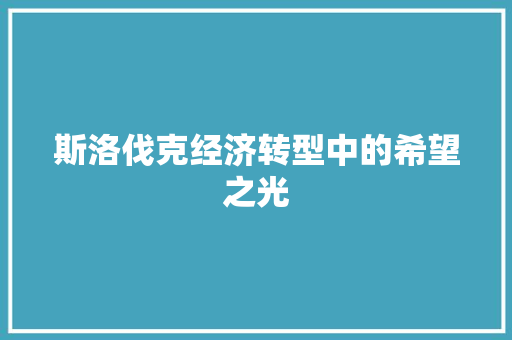 斯洛伐克经济转型中的希望之光 斯洛伐克经济转型中的希望之光